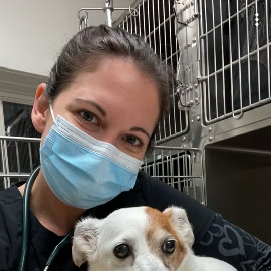 Masked veterinary technician holding a small white dog in front of hospital kennels in Bluffton