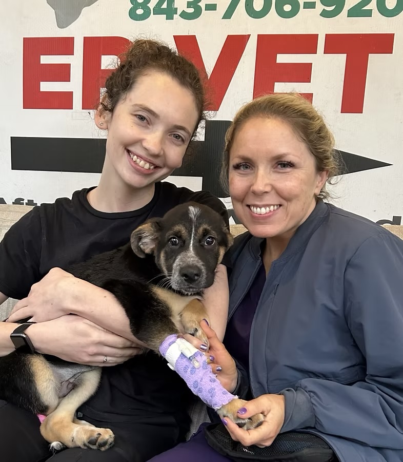 Smiling vet staff member and owner holding a puppy with a bandaged leg at an emergency veterinary clinic in Bluffton