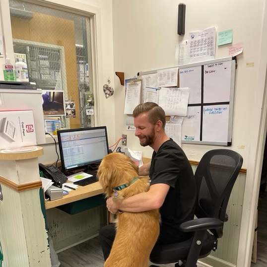 Veterinary staff member smiling at a golden doodle leaning in for attention at the clinic desk in Bluffton