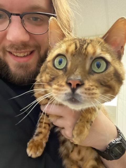 Smiling veterinary technician holding a wide-eyed Bengal cat during an exam in Bluffton