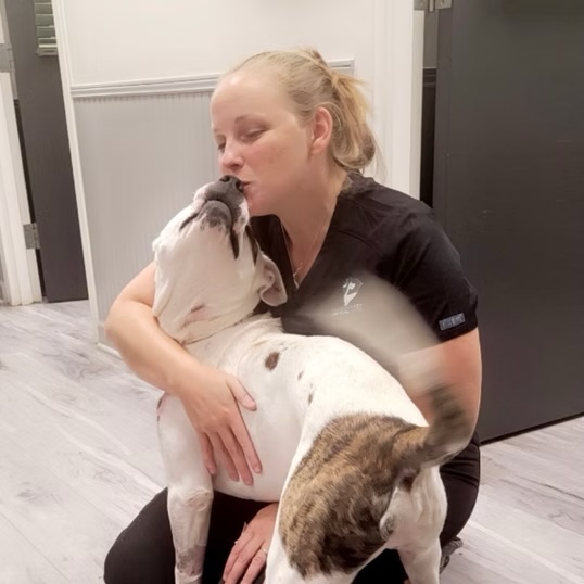 Veterinary technician hugging a large English bulldog on the clinic floor in Bluffton