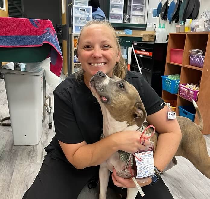 Smiling veterinary technician holding a dog with a blood bag after donation, supporting the blood donor program in Bluffton